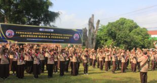 Kwarran Ajibarang Gelar Uji Pencapaian Pramuka Garuda Terbesar di Kwarcab Banyumas